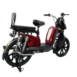 Manufacturers direct sales of cargo electric bicycle Bailing king with front pocket split folding rack electric vehicles